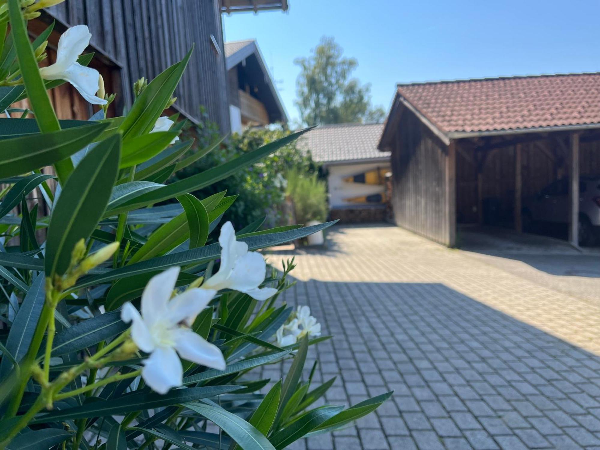 Apartment Wohlfuehlplatzl - Urgemuetlich & Ruhig Vogtareuth Luaran gambar
